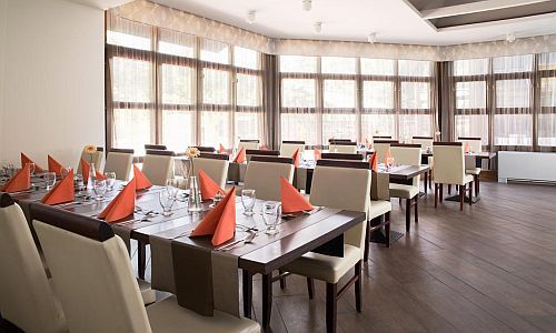 Restaurant in Hotel Rubin - business hotel in Buda